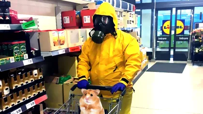 Ce e fenomenul Hamsterkauf și de ce sunt toate rafturile goale în supermarketuri din cauza asta
