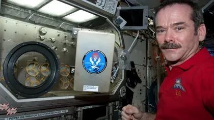 Cum să treci cu bine prin izolare: recomandări de la un astronaut „izolat” 166 de zile în spațiu