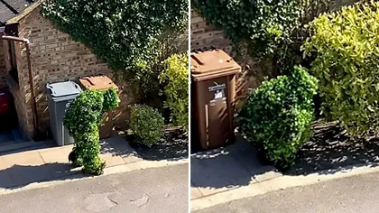 Poate cel mai amuzant mod de a ieși din izolare: gestul unui bărbat, devenit viral pe timp de pandemie