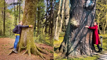 Alternativă la distanțarea socială: beneficiile fabuloase ale îmbrățișării de copaci
