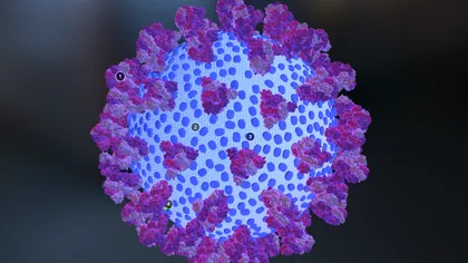 Cât suferi, de fapt, după coronavirus: studiul care îți arată că vindecarea nu te scapă de probleme