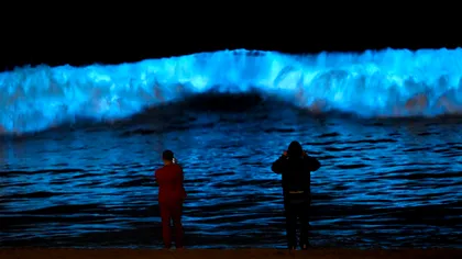 Spectacolul natural de lumini care îți taie respirația pe plajă: ”Nu am văzut niciodată așa ceva”