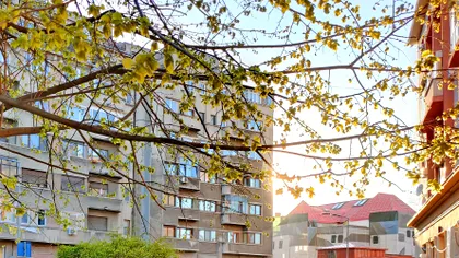 Avertismentul pentru cei care stau la bloc în plină pandemie. Așa ceva e obligatoriu prin lege