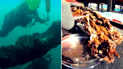 Descoperirea care ar schimba toată medicina. Tratamente mult sperate vor apărea după această reușită