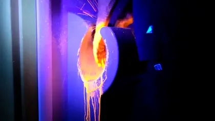 Uscătoarele de mâini, un ocean de bacterii: de ce ar trebui să folosești prosoape