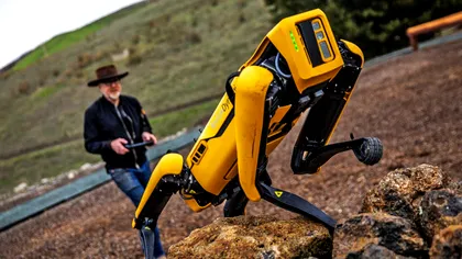 Câinele-robot care poate fi cumpărat la preț mai mic decât dai pe-o mașină Tesla