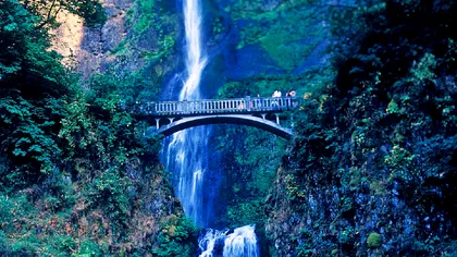 Teoria surprinzătoare despre cum a apărut apa pe Pământ