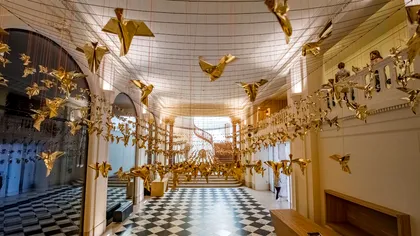 Păsările origami care pot salva vieți: poate cea mai frumoasă strângere de fonduri