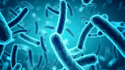 Există un nou tratament pentru infecțiile bacteriene rezistente la medicamente