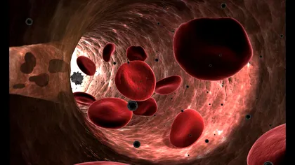 Descoperirea bizară făcută de cercetători după ce-au pus celule într-un labirint