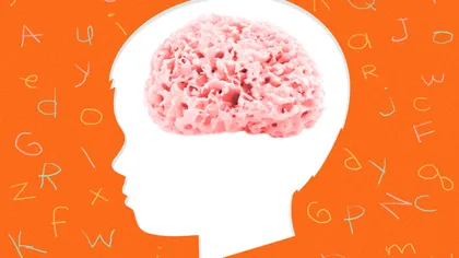 De ce copiii învață mai ușor o limbă străină: totul ține de cum funcționează creierul lor