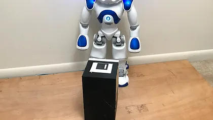 Dacă această tehnică funcționează, un robot ar putea fi cel mai bun cărăuș