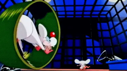 Oamenii de știință au făcut șoareci culturiști și i-au trimis în spațiu