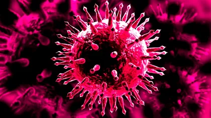 Momentul zero al unui nou val: cele două tulpini de COVID care au generat o versiune hibrid a virusului