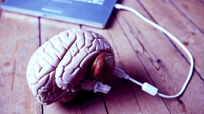Omul care crede că experimentul lui cu viermi ne arată cum să ne conectăm creierul la computer