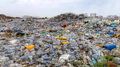 Deșeurile din plastic pot fi “băgate la microunde” pentru a genera hidrogen