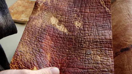 Materialul care ar putea schimba pentru totdeauna industria modei