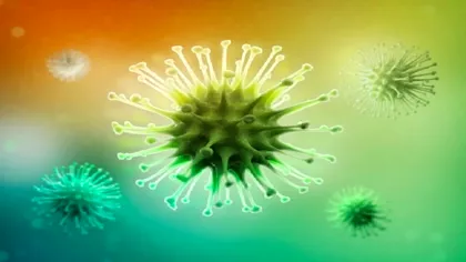 Acest virus extras dintr-o plantă poate trata diferite tipuri de cancer