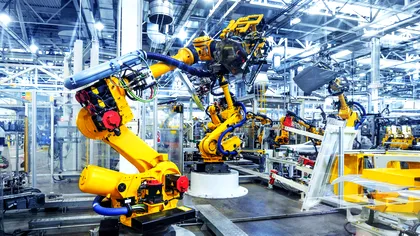 6 abilități pe care trebuie să le ai ca să nu-ți fure roboții jobul