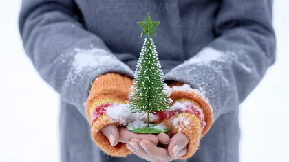 Tu ce cadou ai pune sub un brad de Crăciun de dimensiunea unui fir de păr?