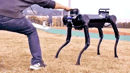 Câinele robot care se 
