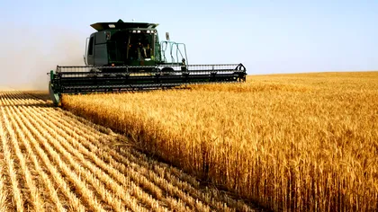 Această nouă tehnică permite dezvoltarea agriculturii, chiar în condiții de secetă