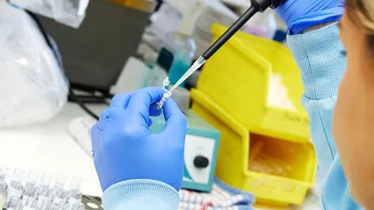 Cel mai vechi fragment ADN găsit vreodată e fascinant. Are peste un milion de ani și aparține acestui animal