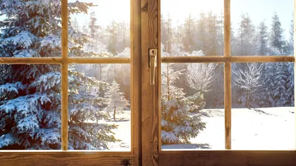 Cea mai bună alternativă la sticlă: ce e lemnul transparent și cum e produs