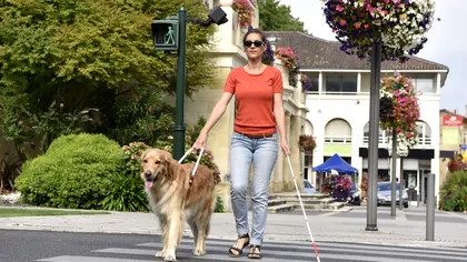 Acest câine robot va lua locul câinelui ghid pentru persoanele nevăzătoare. Cum funcționează și cât de sigur este