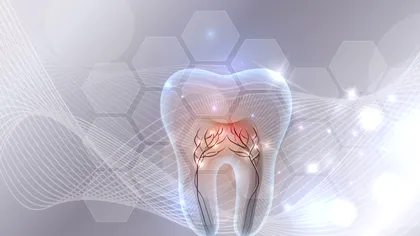 Un nou tratament ar putea să-ți crească dinții la loc. Cum funcționează