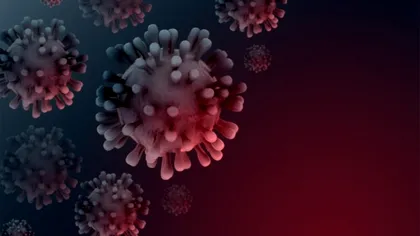 Tulpina britanică a virusului a trecut prin 15 țări cu mult înainte să fie descoperită. Cum a fost posibil?