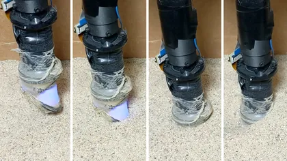 Ar putea fi cel mai deștept și ”finuț” robot: sapă în nisip și salvează vieți