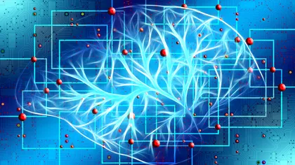 Concluziile uimitoare ale Google: inteligența artificială și neuroștiința, pentru binele tuturor
