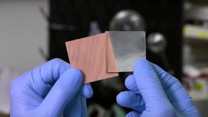 Lemnul transparent poate deveni mai translucid. Cum pot ajuta citricele la procedură