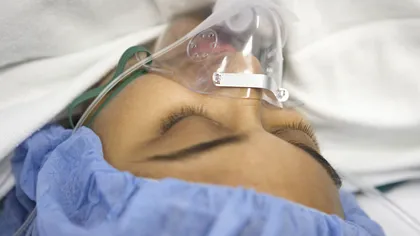 Modul inedit prin care s-a descoperit că respiră mamiferele. Cum ar putea ajuta descoperirea la actuala criză de oxigen din pandemie