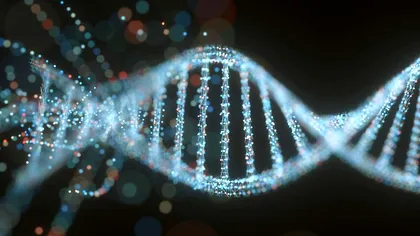 Premieră uimitoare în știință: cercetătorii au secvențiat întregul genom uman. Ce înseamnă acest lucru pentru viitorul medicinei