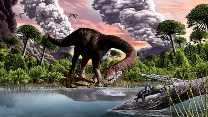 Istoria dioxidului de carbon de pe Pământ de când au dispărut dinozaurii și până în prezent