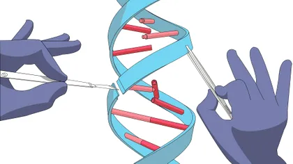Bolile pe care le poate trata tehnica prin care s-a creat vaccinul anti Covid
