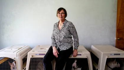 Muncă în loc de pensie: de ce se va dubla numărul vârstnicilor care muncesc și după 65 de ani