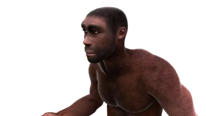 Descoperire uimitoare: schimbă tot ce știai despre istoria omenirii