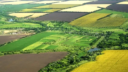 Terenurile României, pe mâna străinilor? Legea controversată care a trecut tacit de Senat