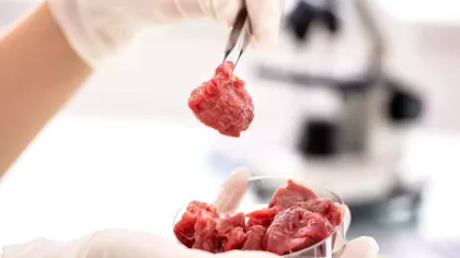 Carnea crescută în laborator: știința, psihologia și viitorul alternativelor la mâncarea noastră