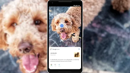 Actualizarea Google Lens: cum vei putea analiza fotografiile din galeria ta