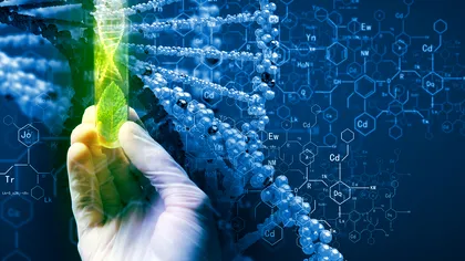 Biotehnologia întâlnește o piedică: ce se întâmplă cu modificare genetică