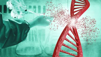Avertismentul îngrijorător al OMS: hackingul genetic ar trebui să fie ilegal