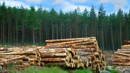 România, pe ultimul loc în Europa, din nou: la ce ne-am mai făcut de râs, acum