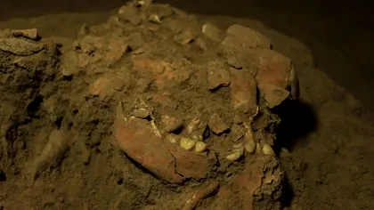 Cea mai recentă descoperire este de-a dreptul istorică: ce am aflat din ADN vechi de 7000 de ani