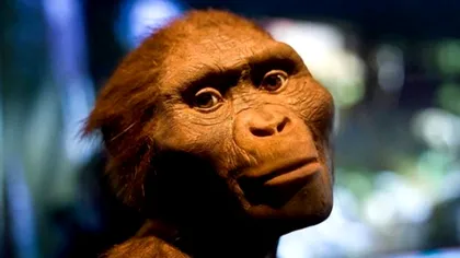 Ce este Hominizi Turkana și de ce ar fi bine să-l ”cunoști”- precursorul omului este celebrat de Google