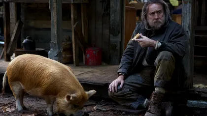 „Pig”: conexiunea lui Nicolas Cage cu cel mai bun prieten al său, un porc, unică. Interpretarea? Magistrală.