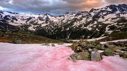 Fenomenul uluitor care se petrece în Alpii francezi. Cu siguranță, ai vrea să îl vezi